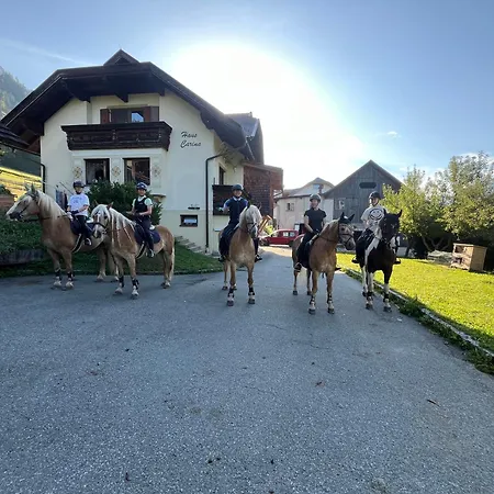 Pferdehof Rupitsch - Haus Carina Daire