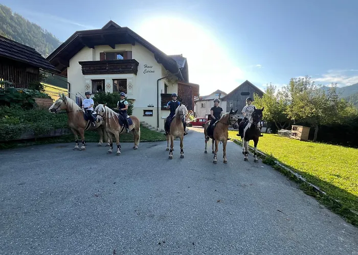 Pferdehof Rupitsch - Haus Carina Apartman